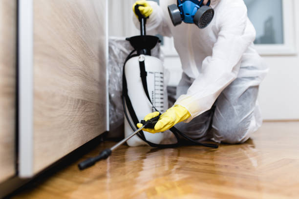 Best Cockroach Control Services  in Roseville, MN