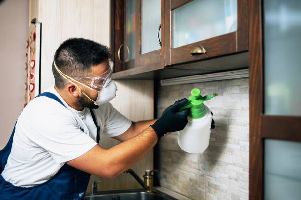 Pest Prevention Services in Roseville, MN