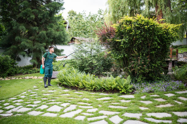 Best Cockroach Control Services  in Roseville, MN