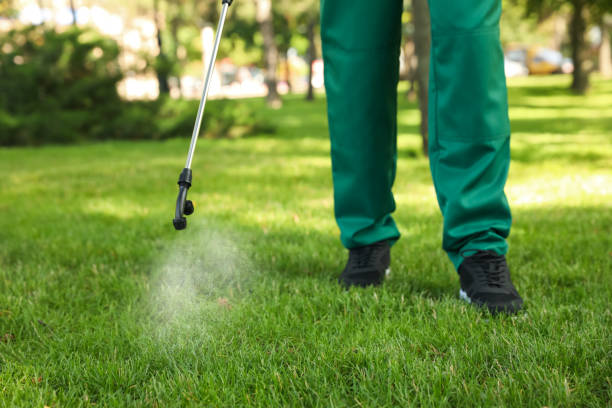 Flea Control Services in Roseville, MN