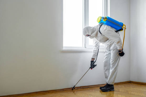 Best Rat Extermination Near Me  in Roseville, MN