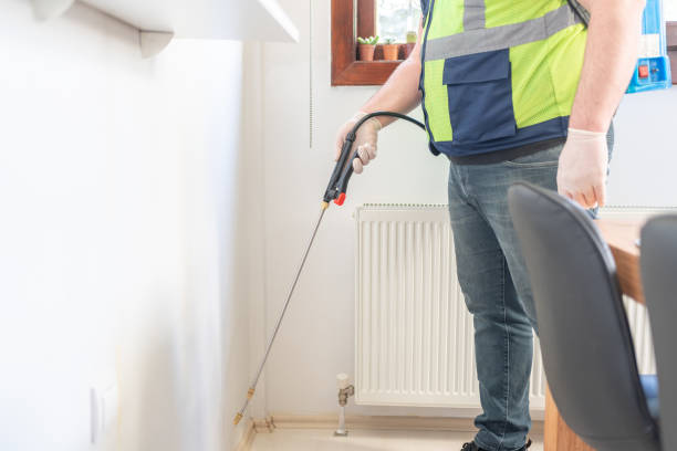 Wasp Removal Services in Roseville, MN