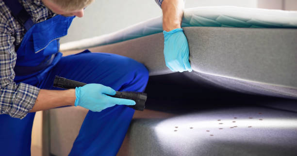 Best Insect Control  in Roseville, MN