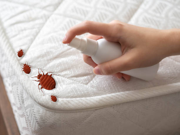 Best Wasp Removal Services  in Roseville, MN