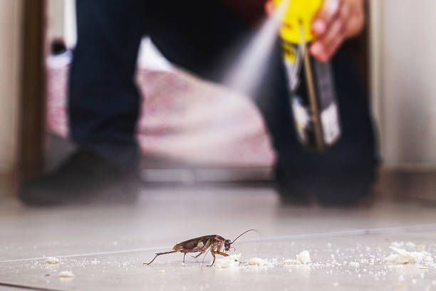 Best Bed Bug Extermination  in Roseville, MN