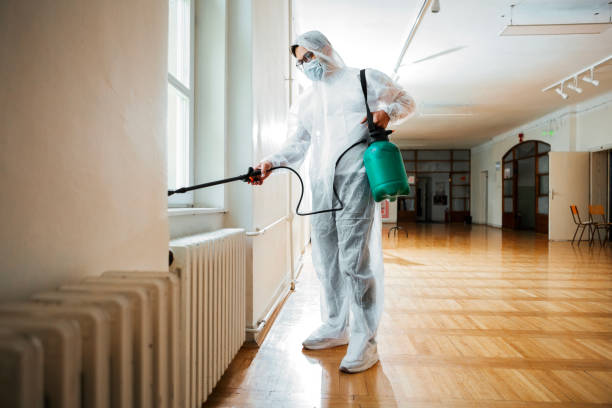 Best Pest Control Near Me  in Roseville, MN