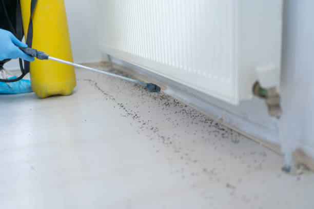 Best Exterminator Services  in Roseville, MN