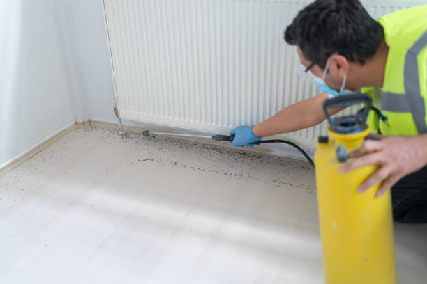 Best Ant Control Services  in Roseville, MN